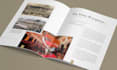 design a professional business brochure