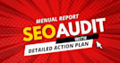 audit your website SEO and generate complete report