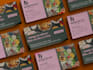 create powerpoint presentation pitch deck, ms word expert graphic designer