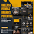 install wordpress, theme, template and customization
