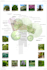 make a nice 2d landscape plan
