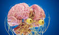 do 3d medical animation 3d medical video surgery animation scientific animation