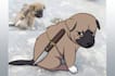draw a funny viral meme of your character