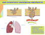 make scientific figures, illustration and graphical abstracts diagram