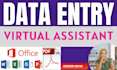 do data entry, PDF conversion, retyping and copy paste tasks