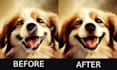 remove the watermark or objects, upscale, and rectify glitches in your images
