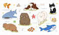 design custom cute cartoon animal in vector