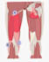 draw human anatomy and muscular system
