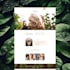 create a custom wix website for your business