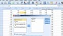 do data analysis using spss and excel