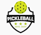 design a professional modern pickleball logo