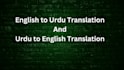 do english audio video transcription