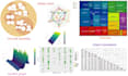 do interactive visualizations and statistical analysis in r