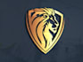 make professional 3d logo for you