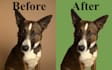 professionally remove background, hair masking