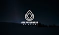 do custom 2 minimal business logo design within 24 hours