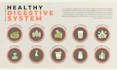 design health, fitness, and educational infographics