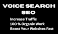 do voice search  SEO optimization for website ranking