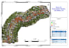 do gis vegetation analysis and mapping, crop counting, ndvi index