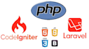 do anything for your PHP, laravel, and codeigniter website