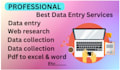 excel data entry, data cleaning, data collection,