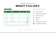 professionally format excel spreadsheets and google sheets