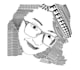 draw any digital professional illustration you want