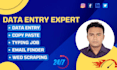 do expert and accurate data entry, PDF to excel, copy paste