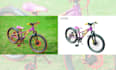 professionally photo background removal clipping path cut out image 24 hours