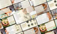 design an investor business proposal, pitch deck, powerpoint presentation, ebook