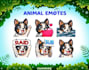 draw custom animal emotes for twitch youtube discord tiktok