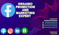do facebook organic promotion and marketing