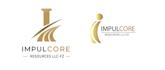 provide professional logo variations in multiple styles