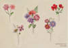 create a beautiful watercolor flowers tattoo design for you