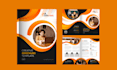 design business capability statement and company profile within 24 hours