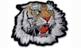 do embroidery digitizing into dst