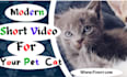 create amazing ads for cat products