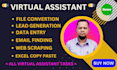 be your professional and administrative virtual assistant, data entry expert