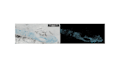 do professional image processing using matlab