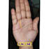 do palm readings and provide you authentic  readings