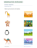 create canva interactive ebook digital worksheet canva infographic animation