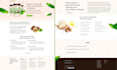 write direct response copy for your sales page, funnel, email drip campaign, vsl