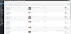 format, SEO optimise, and publish blog posts on your wordpress website