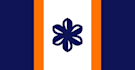 create a incredible custom flag design