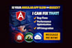 optimize, fix or develop high performance angular app