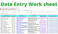 excel data entry, copy paste, typing, data entry