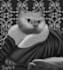 illustrate semirealistic drawing in grayscale