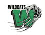 do embroidery digitizing convert logo into embroidery digitizing in dst emb file