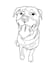 create line art of pet, object, or portrait