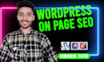 optimize your wordpress website and shopify store as an onpage SEO specialist